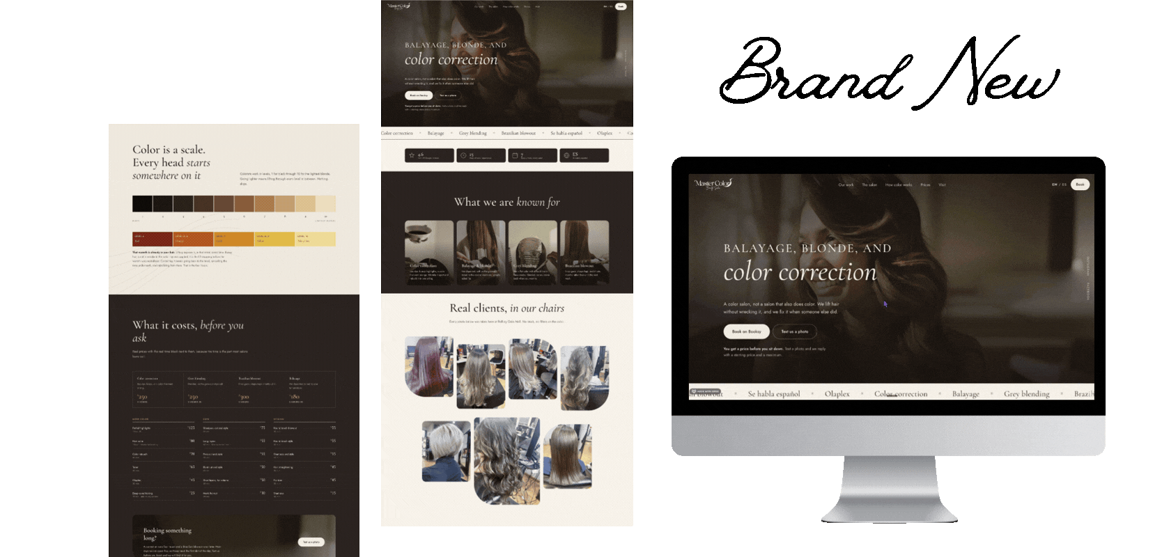 The Master Color Beauty Salon website: the lift scale and pricing pages, the homepage, and the salon's location page shown on a desktop screen.